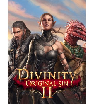 Divinity: Original Sin 2 GOG.com Key GLOBAL